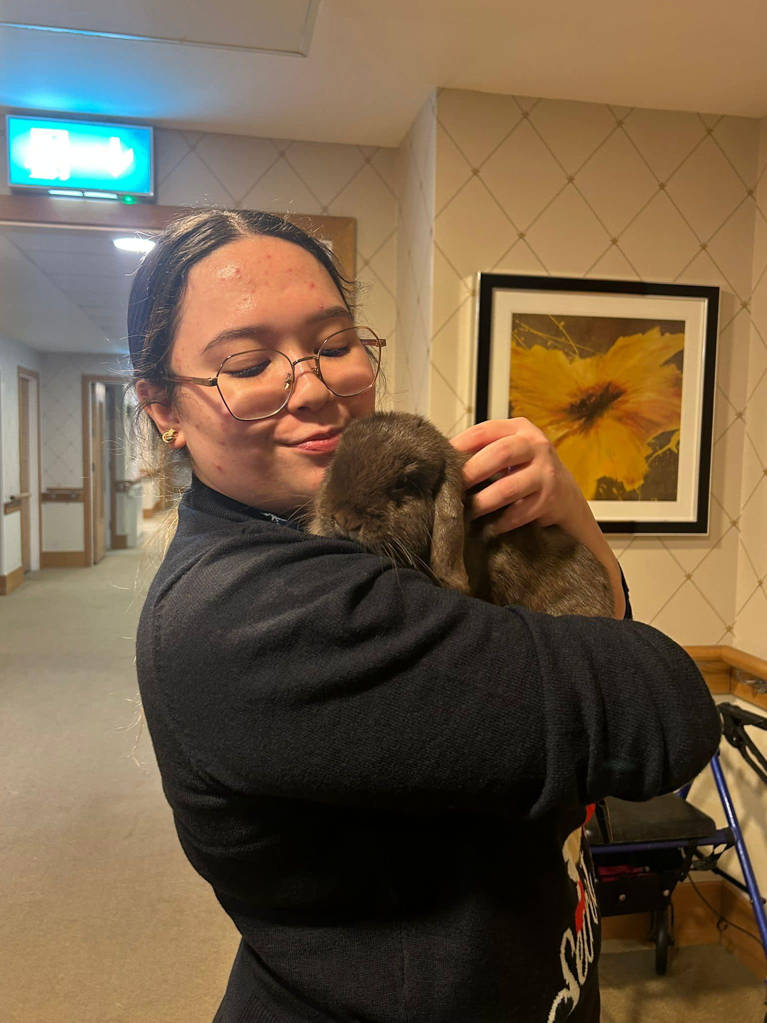 rabbit pet therapy