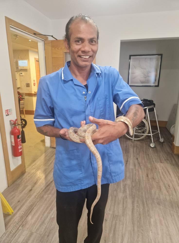 staff-with-snake