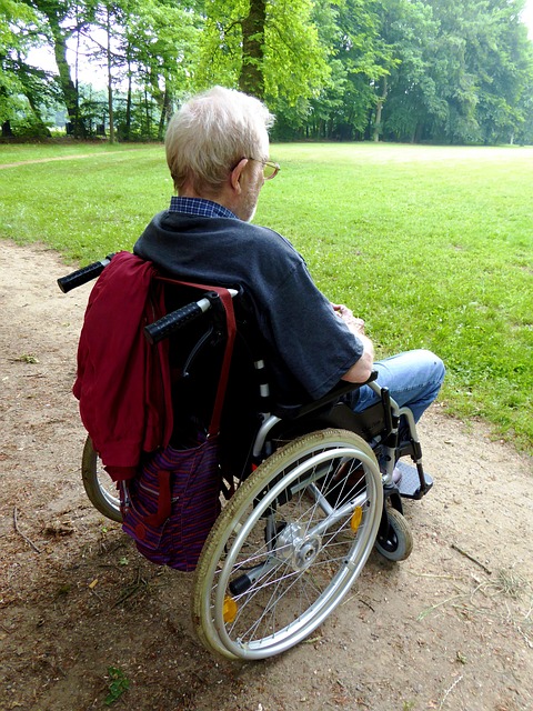 man in wheelchair onlooking a park 